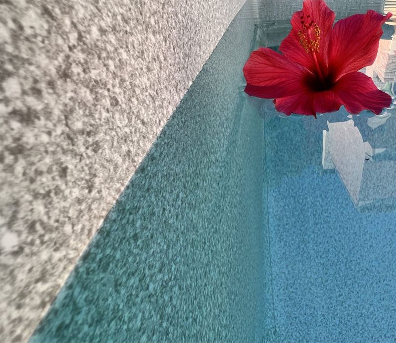elbe pools pure